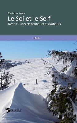 Le soi et le self Tome 1 : Aspects politiques et exotiques