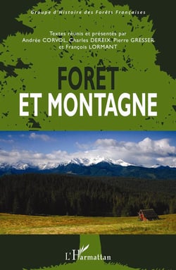 Forêt et montagne