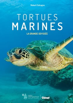 Tortues marines - la grande odyssée