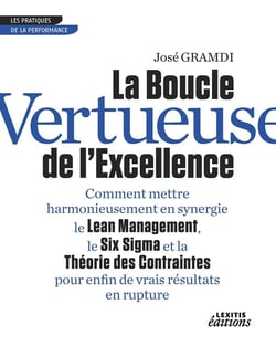 La boucle vertueuse de l'excellence - comment mettre harmonieusement en synergie le lean management, le six sigma et la théorie des contraintes pour enfin de vrais résultats en rupture