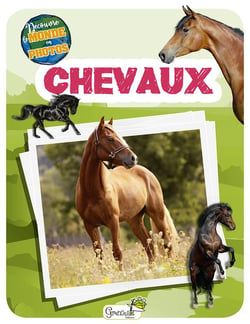 Découvre le monde en photos : chevaux