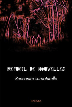 Recueil de nouvelles : Rencontre surnaturelle