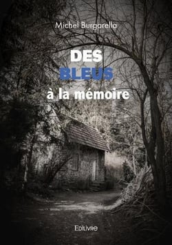 Des Bleus à la mémoire