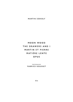 Moon wood, the drawers and I, matière lente, Martin et Pierre, lente opus