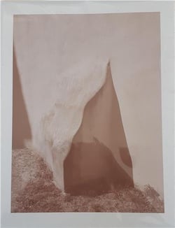 Sébastien Arrighi : shivers