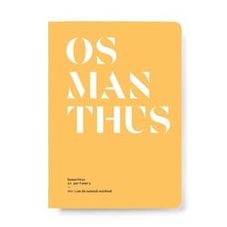 Osmanthus in Perfumery