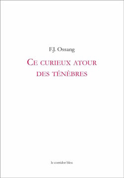 Ce curieux atour des ténèbres