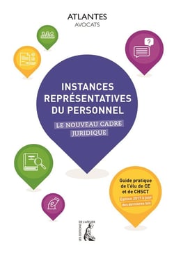 LES INSTANCES REPRESENTATIVES DU PERSONNEL
