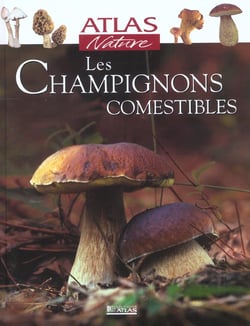 Les chamignons comestibles