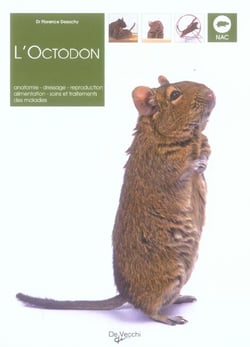 Octodon (l)