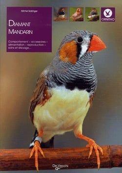 Diamand mandarin
