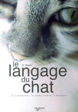 Le langage du chat