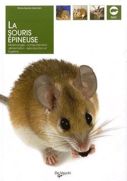 La souris épineuse