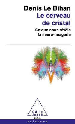 Le cerveau de cristal : ce que nous révèle la neuro-imagerie