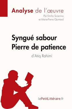 Syngué Sabour : Pierre de patience de Atiq Rahimi - analyse complète de l'oeuvre et résumé