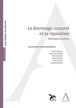 Le dommage corporel et sa réparation - questions choisies