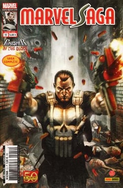Marvel saga n.12 : Punisher in the bloom