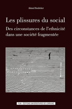 Les Plissures du social : Des circonstances de l'ethnicité dans une société fragmentée