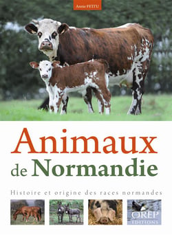 Animaux de normandie