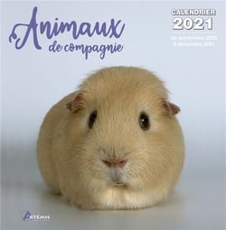 Calendrier animaux de compagnie 2021 (édition 2021)