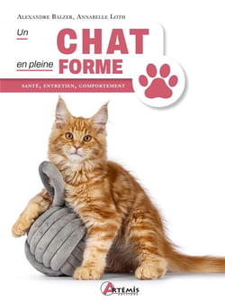 Un chat en pleine forme : santé, entretien, comportement