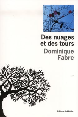 Des nuages et des tours