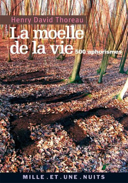 La Moelle de la vie : 500 Aphorismes