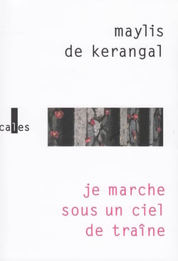 Je marche sous un ciel de traîne