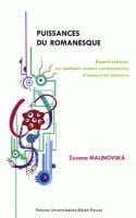Puissances du romanesque - regard extérieur sur quelques romans contemporains d'expression francaise