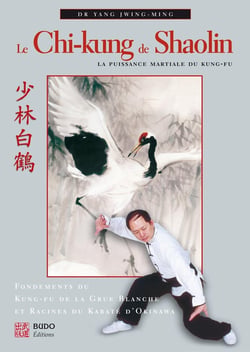 Le chi-kung de shaolin - la puissance martiale du kung-fu