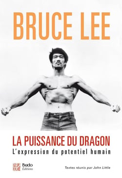 La puissance du dragon - l'expression du potentiel humain