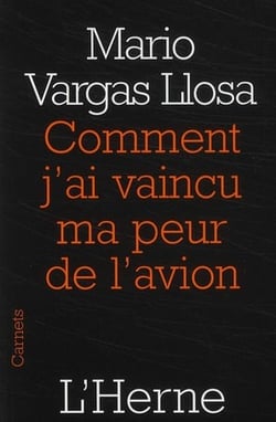 Comment j'ai vaincu ma peur de l'avion