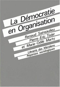 La Démocratie en organisation : vers des fonctionnements collectifs de travail