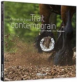 Cheval de travail - trait contemporain
