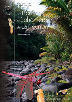 Les libéllules et éphémères de La Réunion
