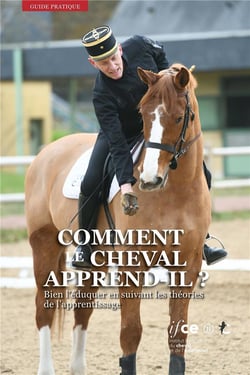 Comment le cheval apprend-il ? bien l'éduquer en suivant les théories de l'apprentissage