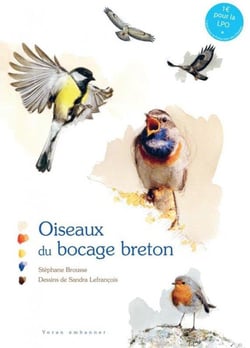 Oiseaux du bocage breton