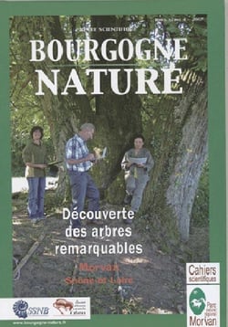 Découverte des arbres remarquables