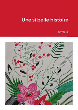 Une si belle histoire
