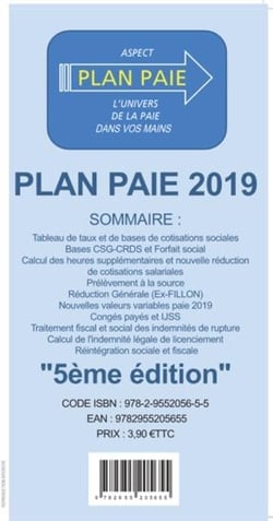 PLAN PAIE 2019