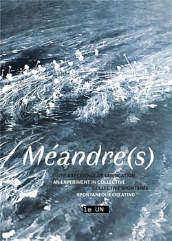 Meandre(s) : une expérience de fabrication collective spontanée
