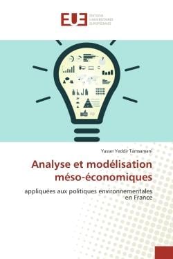 Analyse et modelisation meso-economiques : Appliquees aux politiques environnementales en France