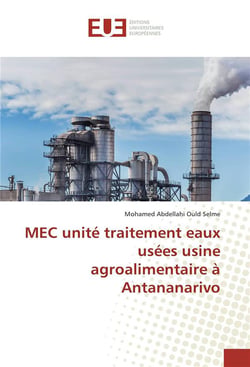 Mec unite traitement eaux usees usine agroalimentaire a antananarivo