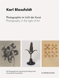 Photography in the light of art