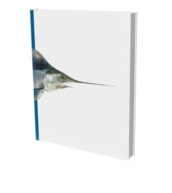 Gerhard winkler : fishs and cephalopods - cat. die photographische sammlung / fondation sk stiftung