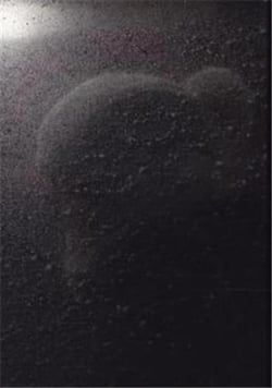 Dagmar keller martin wittwer passengers