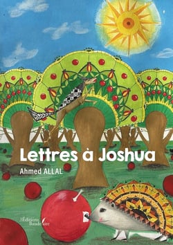 Lettres à Joshua
