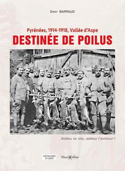 Pyrénées 1914-1918, Vallée d'Aspe, destinée de poilus