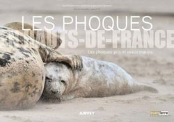 Les phoques en Hauts-de-France