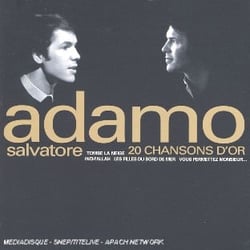 20 chansons d'or : tombe la neige...